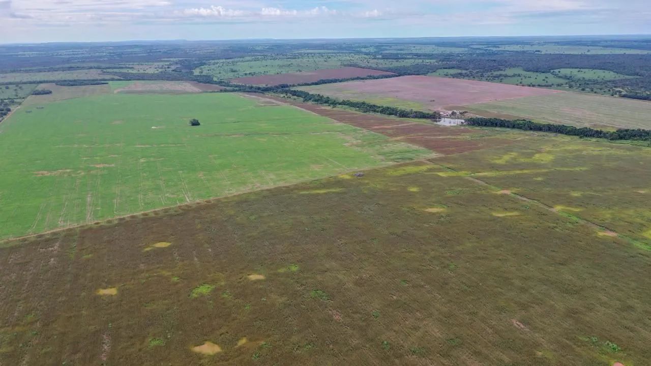 Fazenda  Cristalândia-To 1+4 iguais  - Foto 5