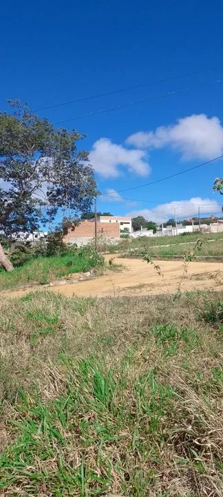Terreno Loteamento Monte Hermon - Garanhuns PE - 55.000,00 - Foto 3