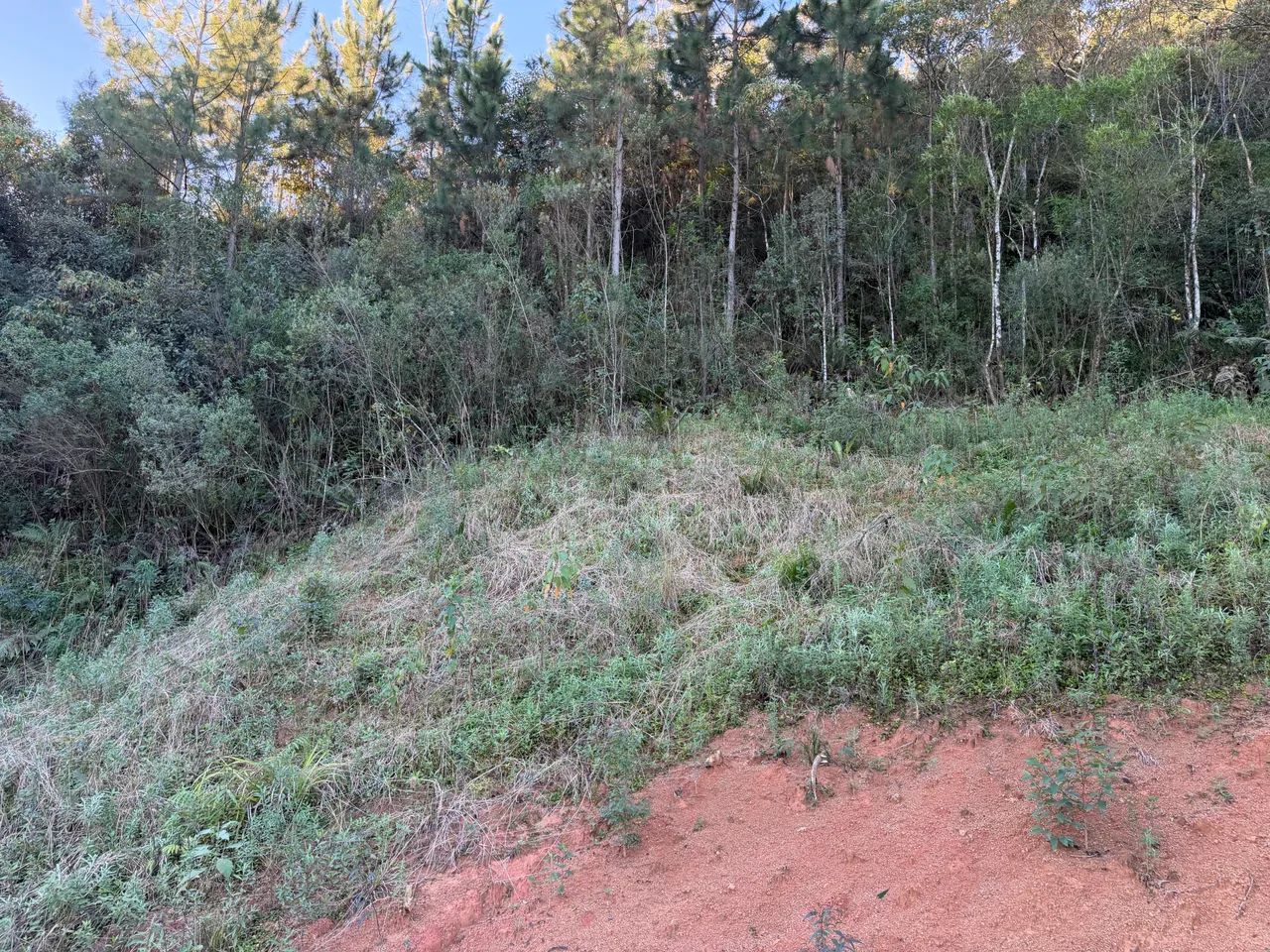 ANITÁPOLIS/SC - Terreno para sítio com 3 hectares  - Foto 4
