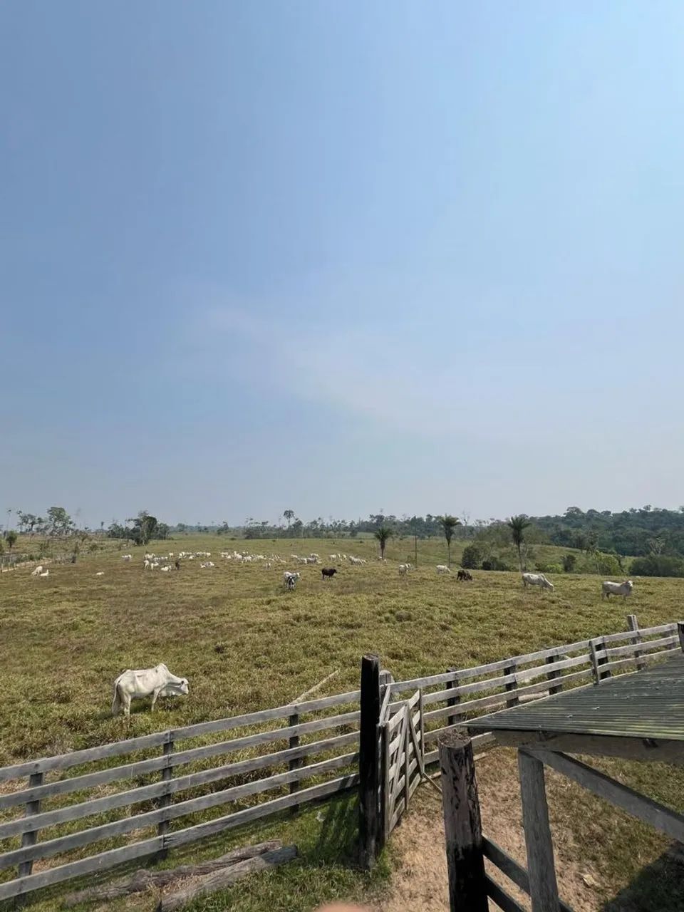 Terra titulada  - Foto 4