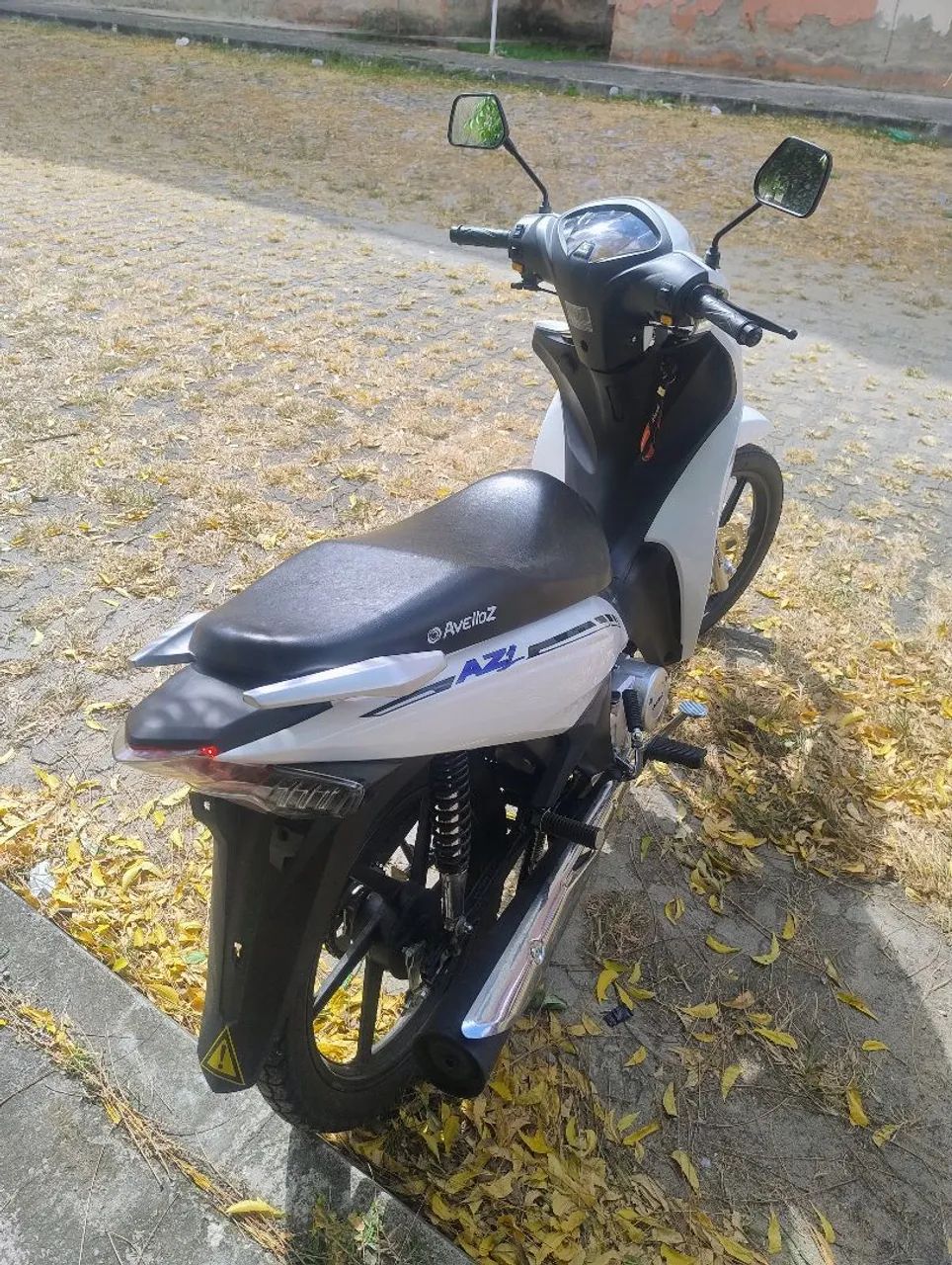 Avelloz nova  - Foto 3