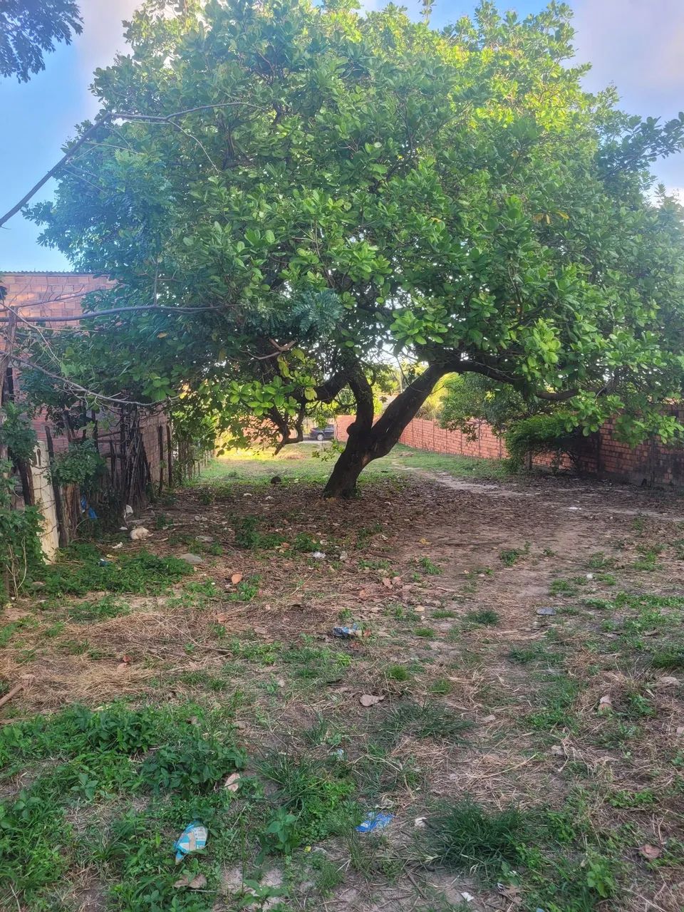 Localização raposa (ma) - Foto 3