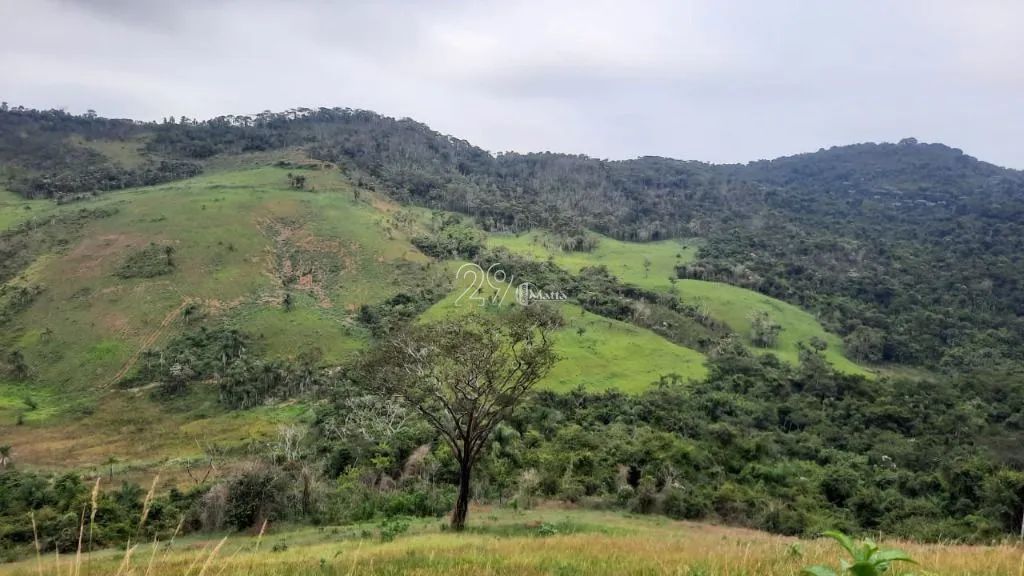 Lote / Terreno - Salvaterra - Foto 5