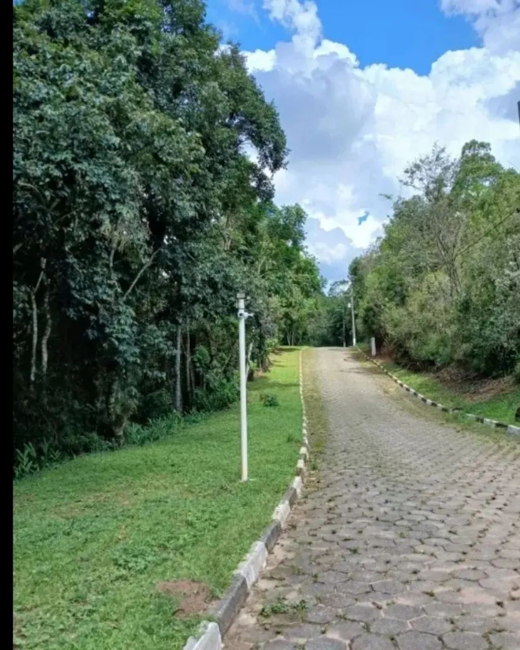 Terreno Serra da Cantareira - Foto 5