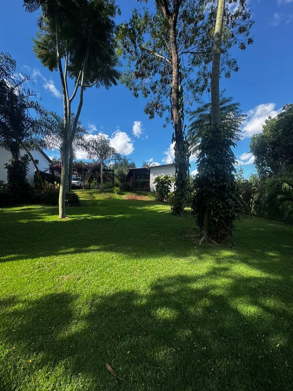Chácara à venda - Vila Brasília - Foto 4