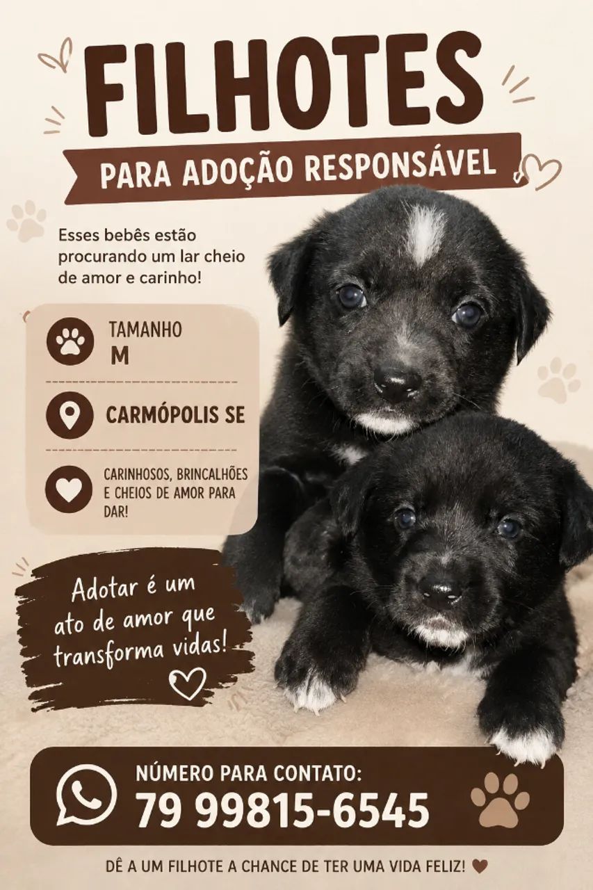 Filhotes para adoção. 
