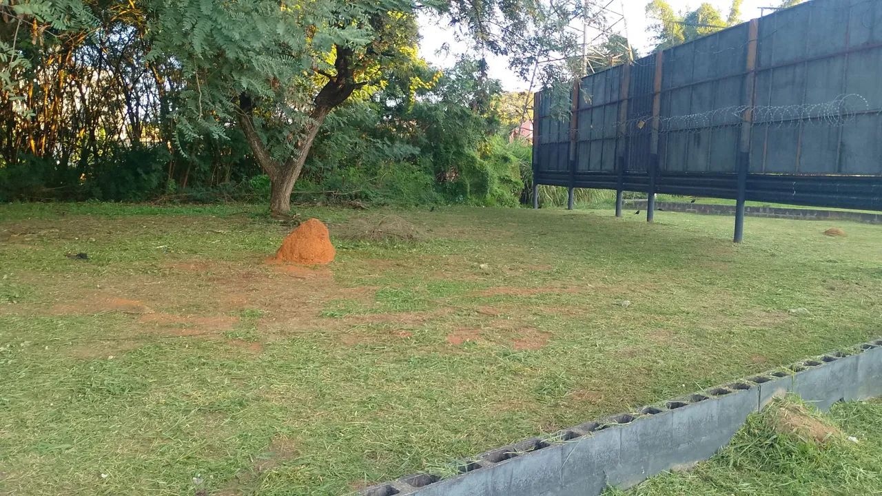 Sou jardineiro faço serviços - Foto 5