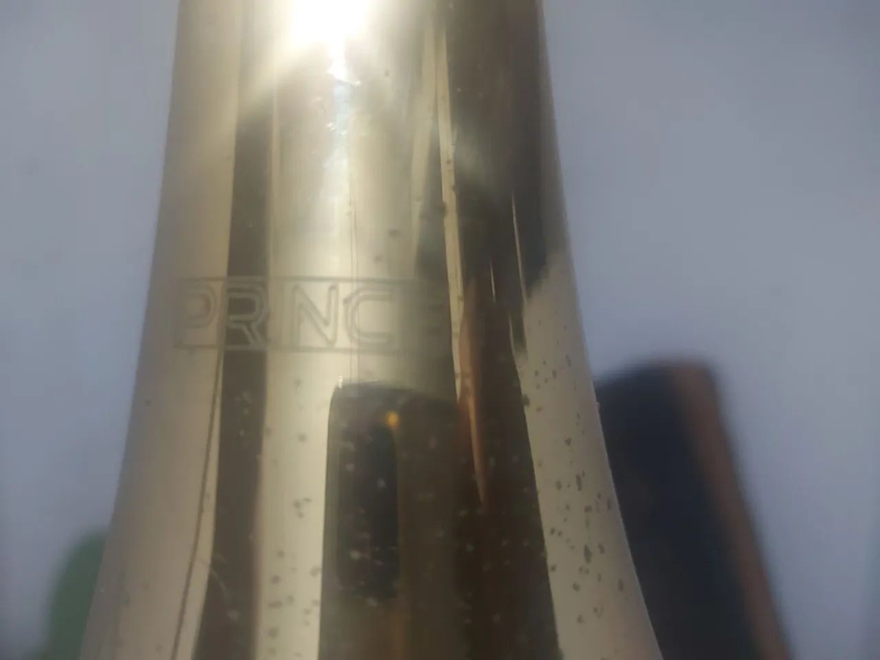 Trombone de Pisto - Foto 3