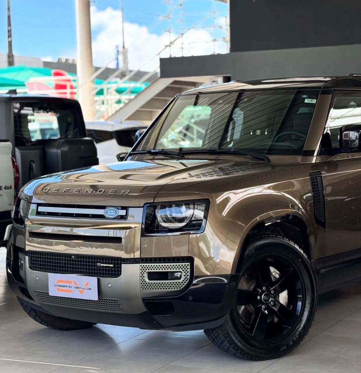 Land Rover Defender 110 X-dy. D300 HSE Mhev DIE AUT 2023