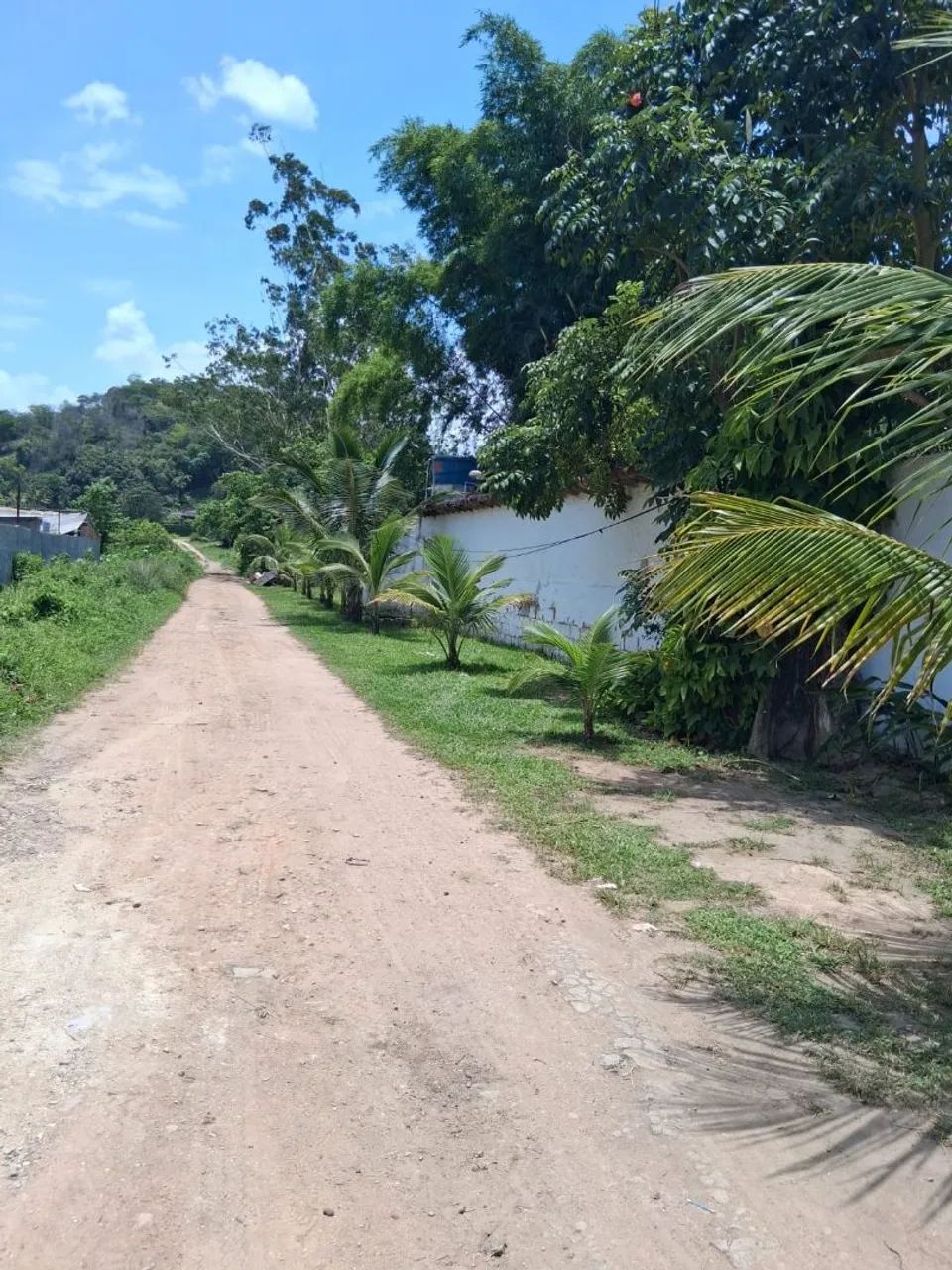 SÍTIO 9 QUARTOS COM RGI - Foto 3