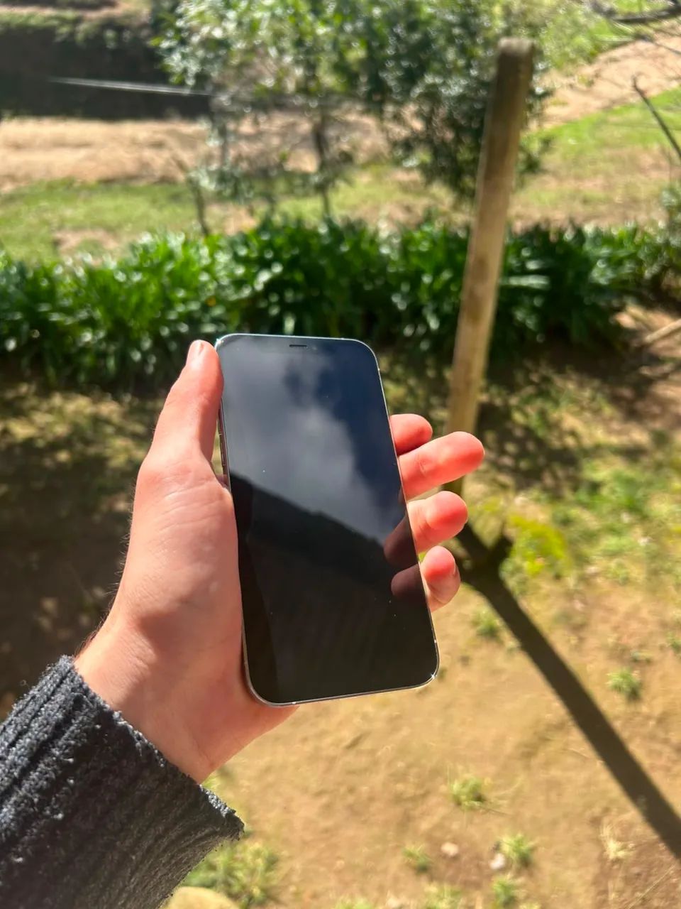 iPhone 12 Pro 