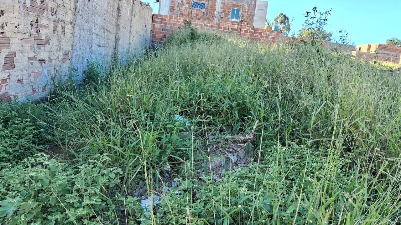 Terreno a venda no panorama  - Foto 3