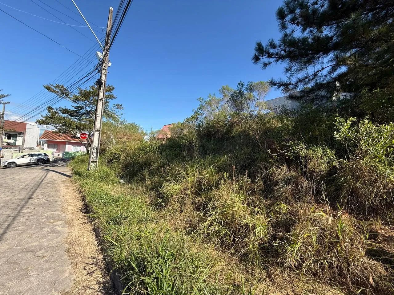 Lote / Terreno em Forquilhas - São José - Foto 4