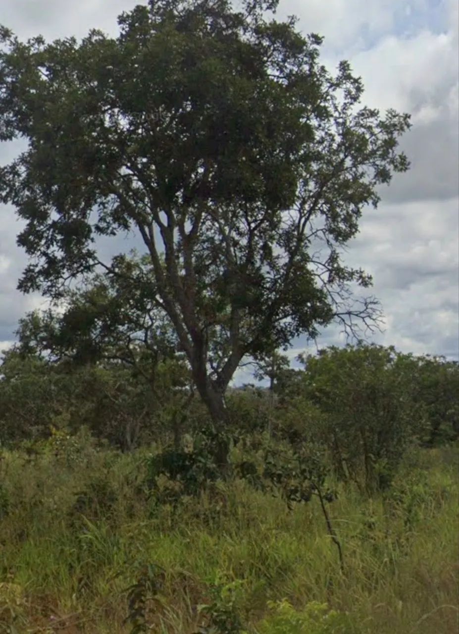 VENDO TERRENO - 1.000 m² - SÃO JOSÉ DO ALMEIDA (BAIRRO TAMANDUÁ) - Foto 2