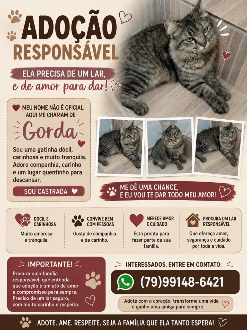 Adoção Responsável 