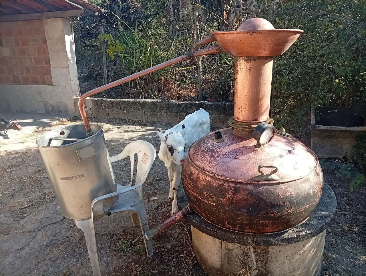 Alambique 300 litros, com serpertina ,pre aquecedor 
