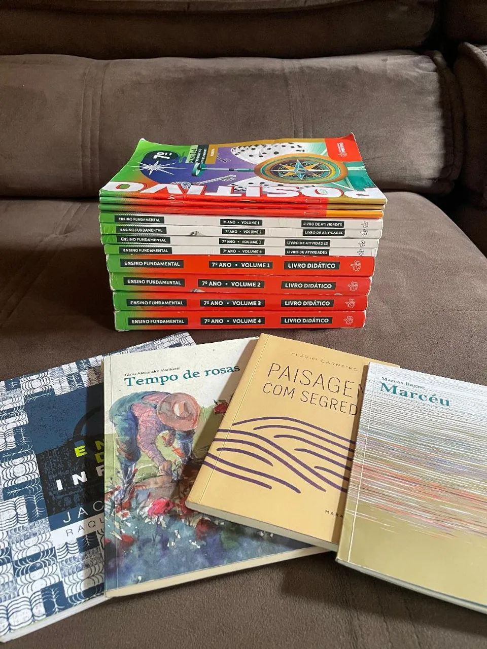 Livro Didático escolar65171889808641123