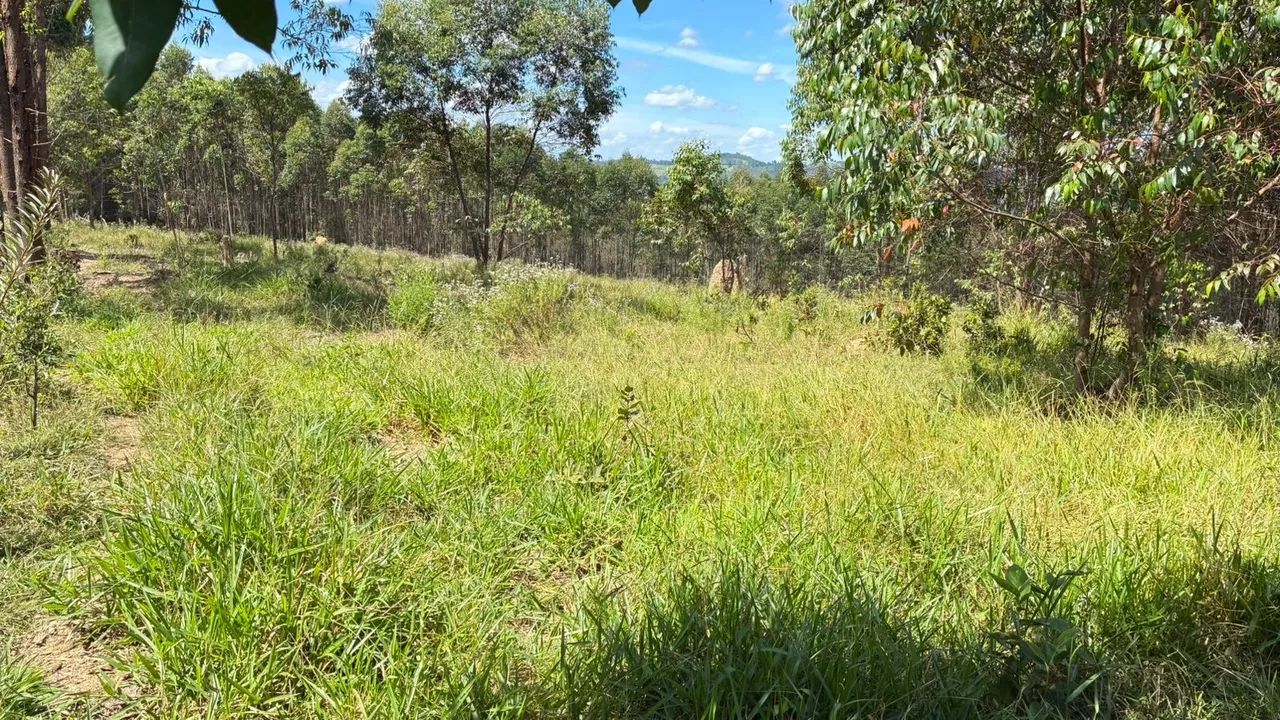Chácara em Jeceaba (bituri). - Foto 3