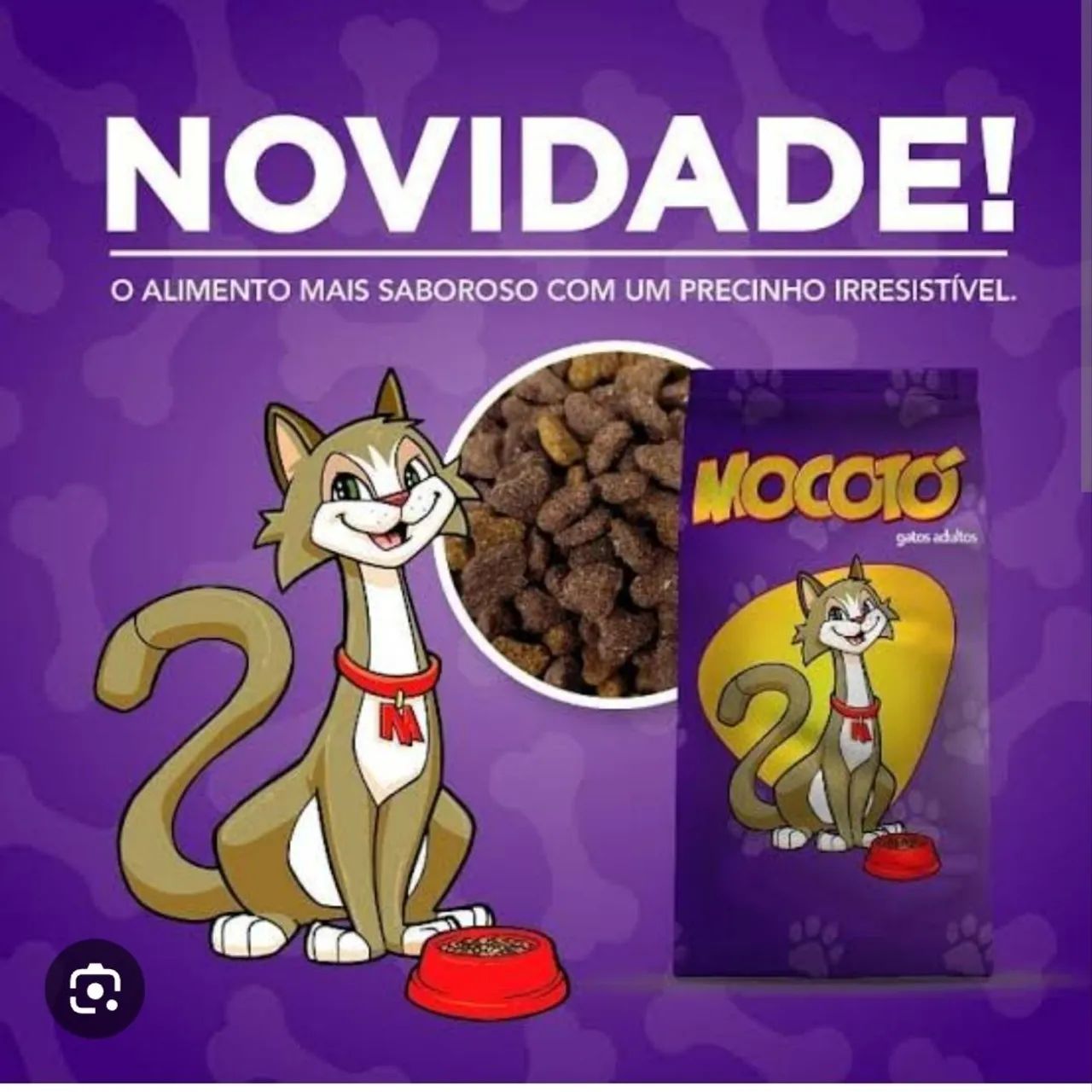 Ração gato 