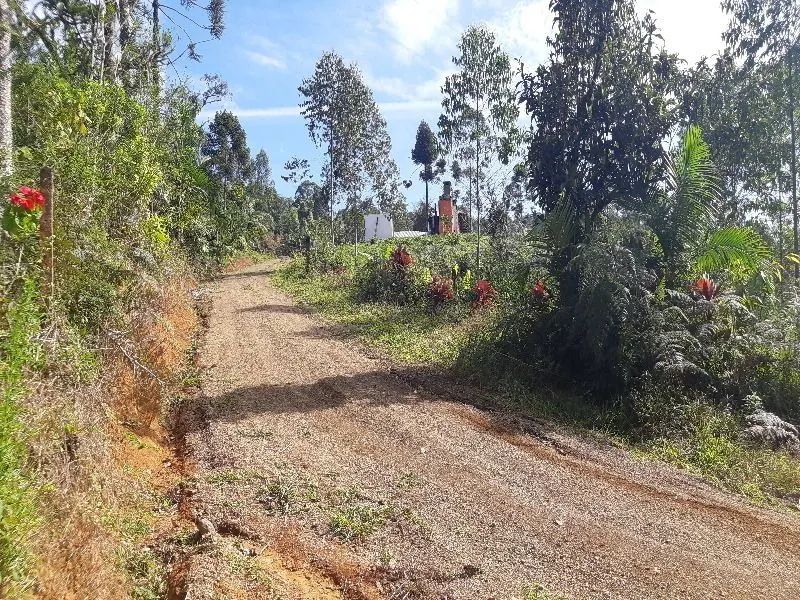 Terreno RODEIO - SC - Foto 2