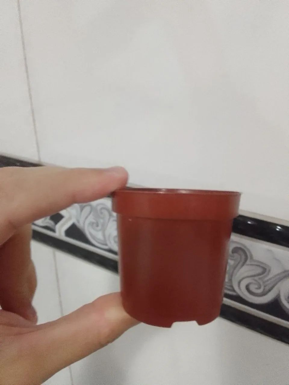 - Vasinhos.  - Foto 3