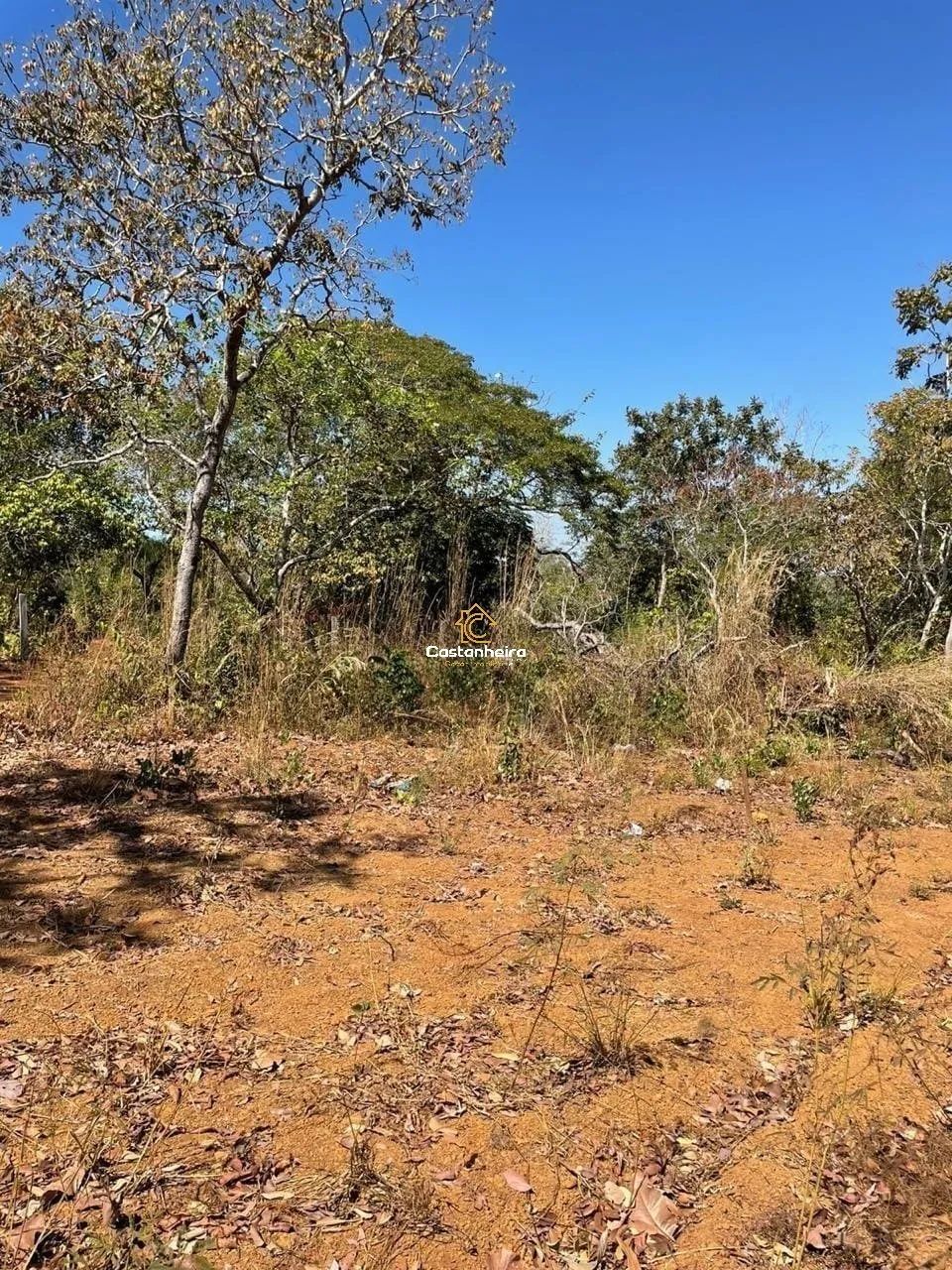 Chácara | Terreno 24.247m² - Zona Rural - Lajeado - Foto 2