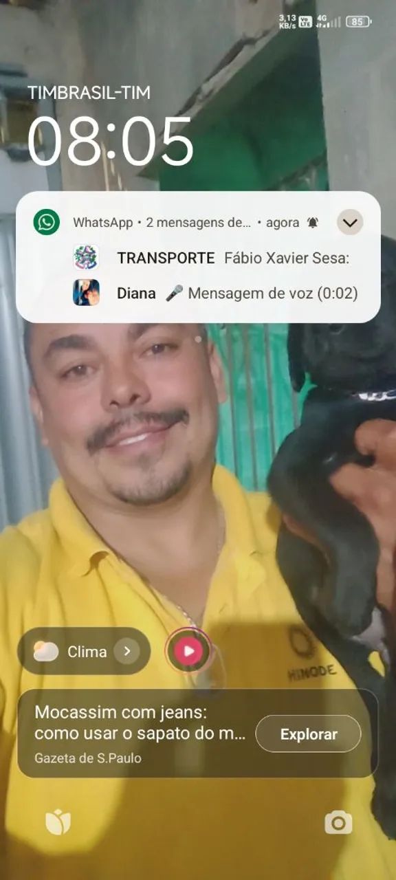 Labradora 