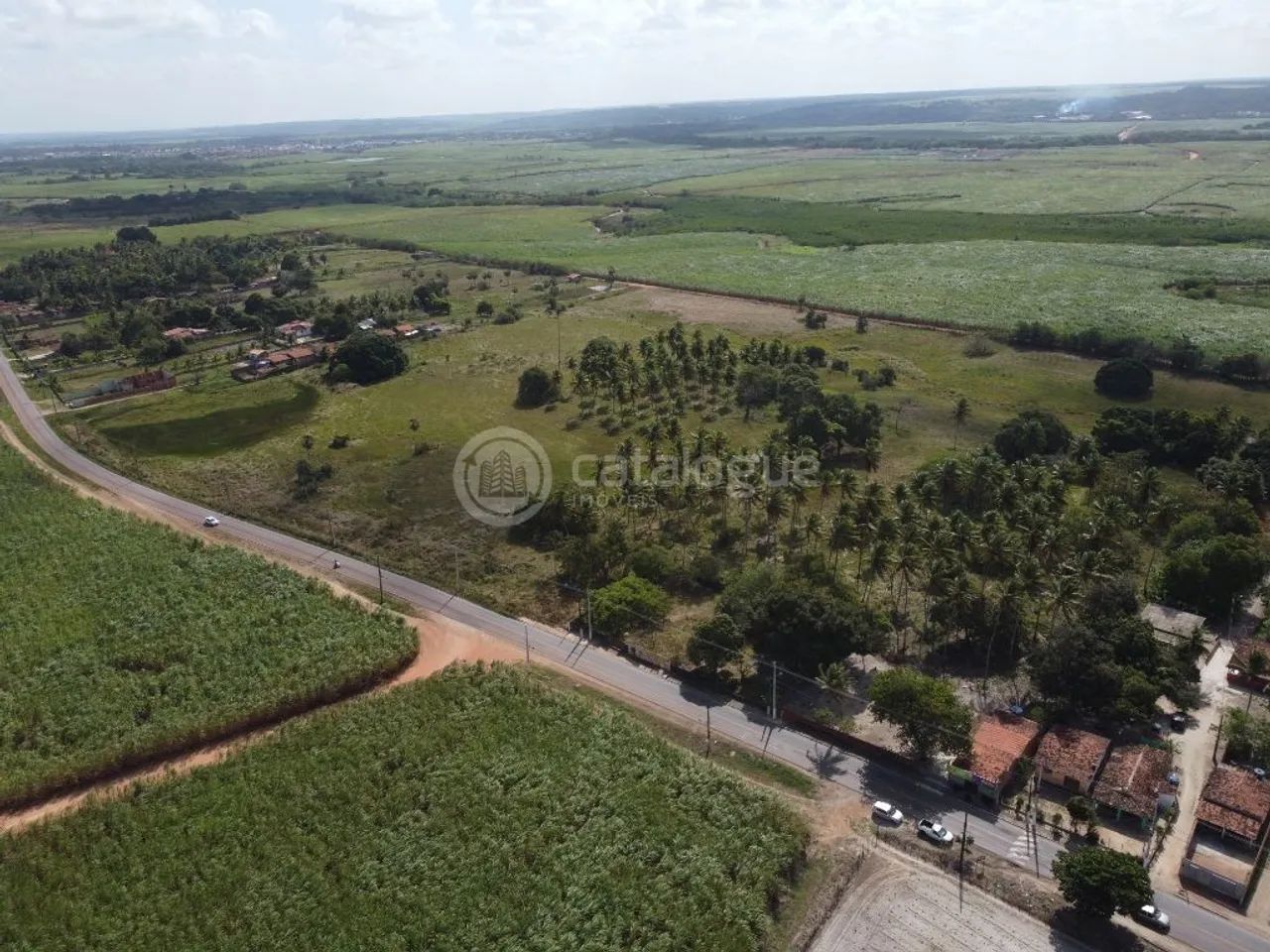 ÁREA DE 8 HECTARES GOIANINHA/RN - Foto 5