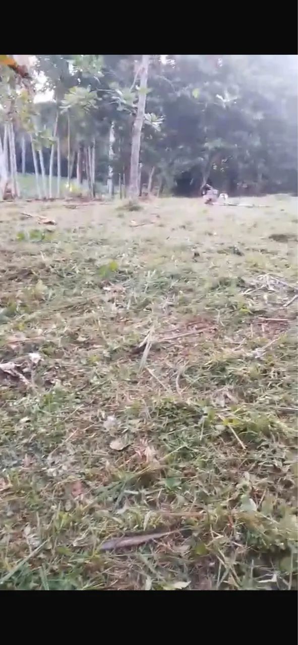 Terreno para sítio com Igarapé em Benevides 