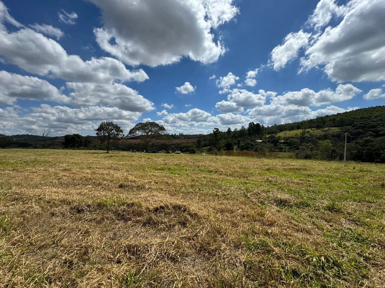 Terreno de 5 mil metros em itaguara 