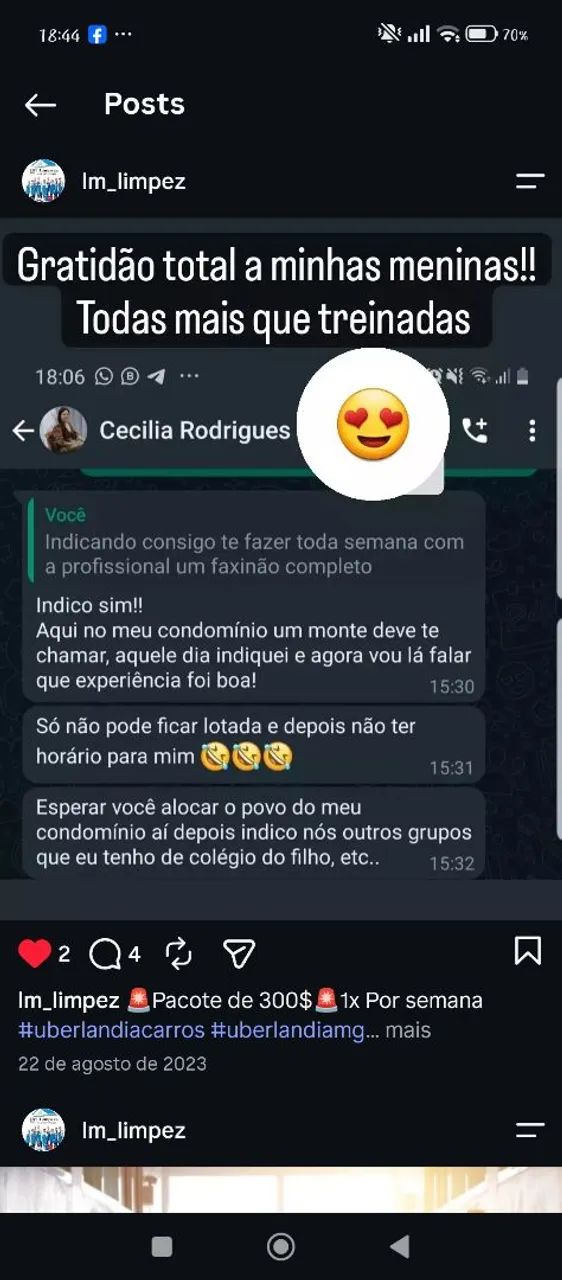 Faxina pesada completa com limpeza de vidros 