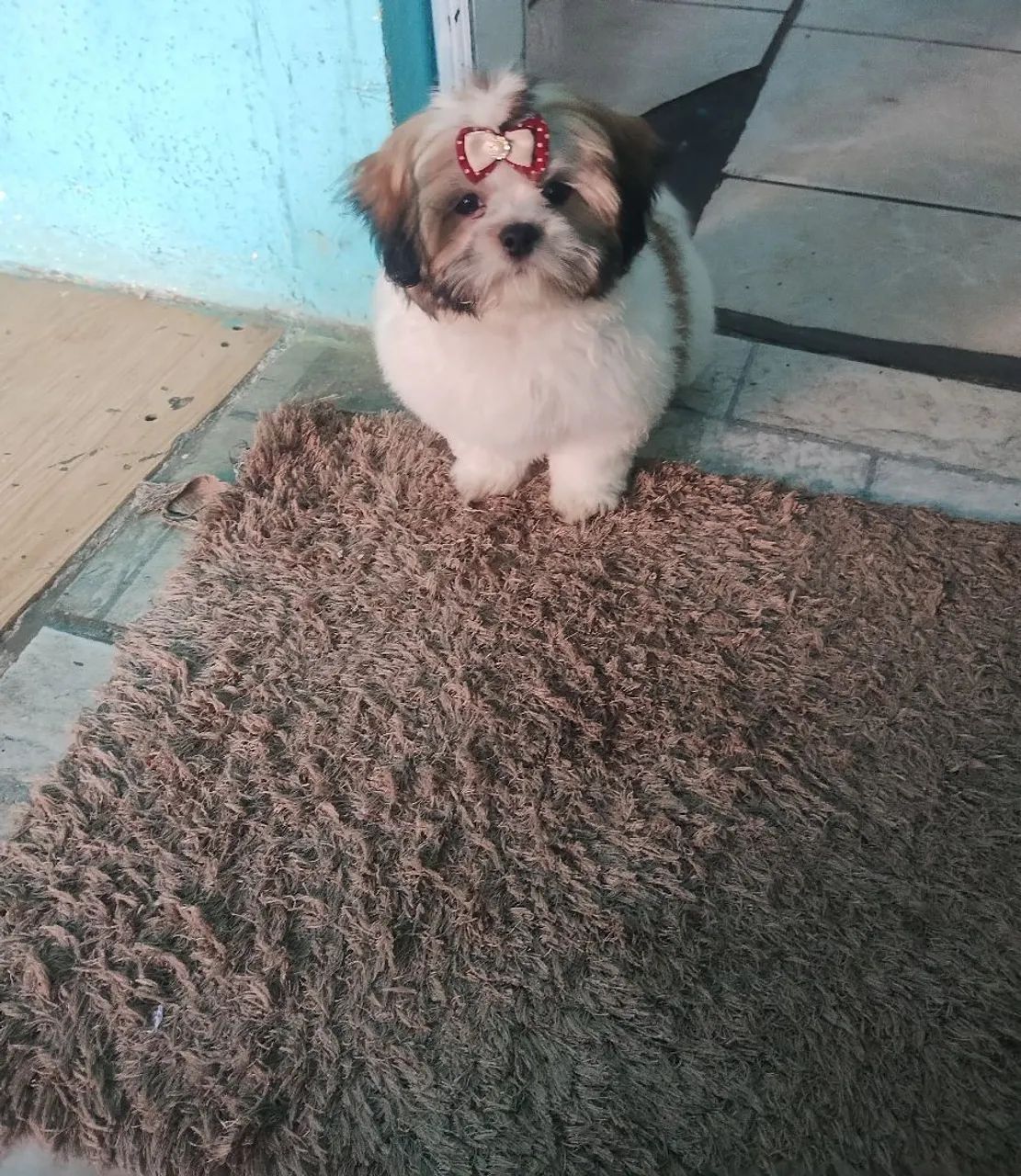 Vendo - Foto 3