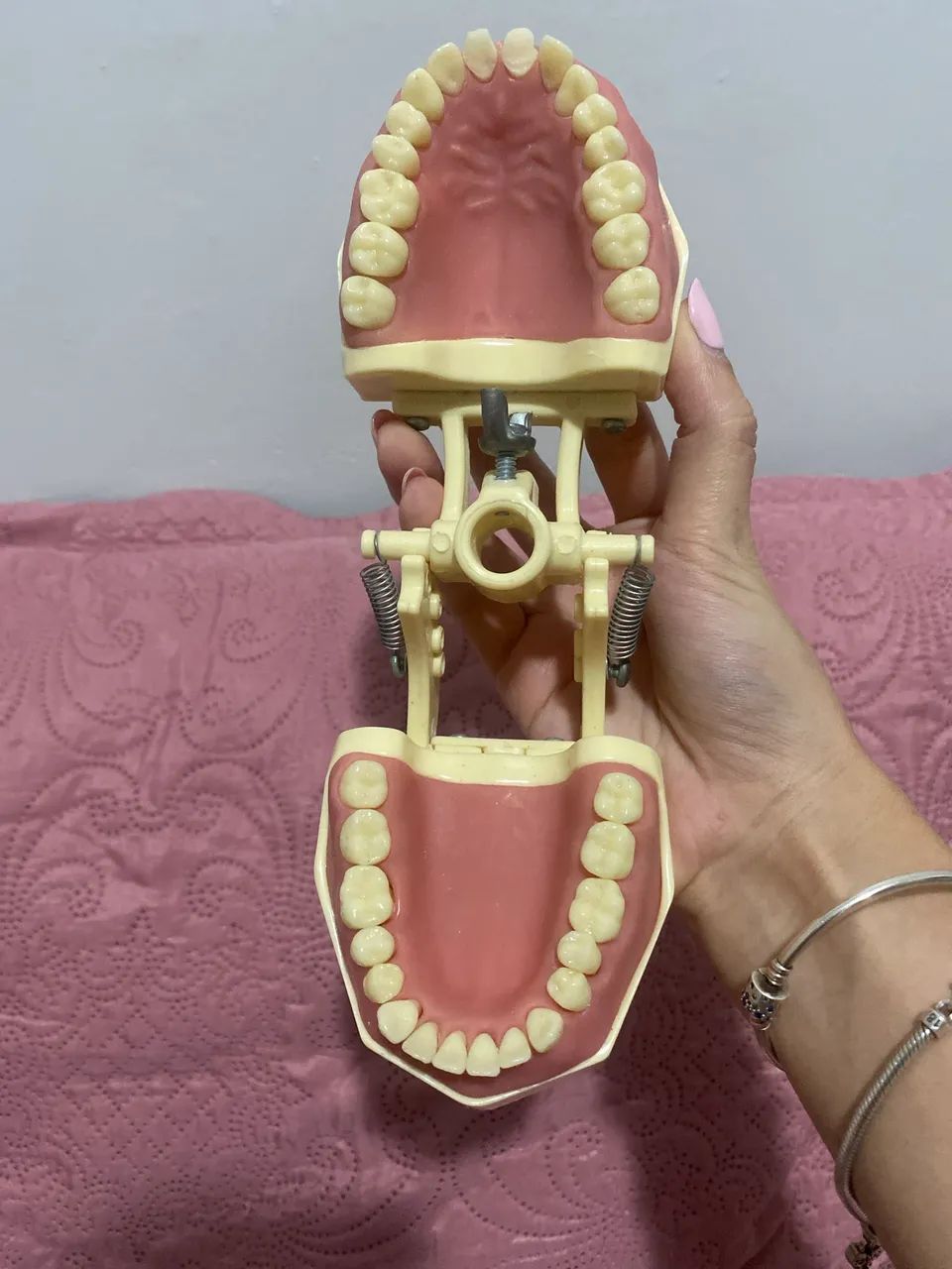 Manequim Dentistíca - orais  - Foto 2