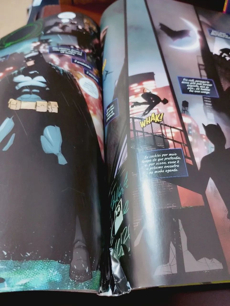 MULHER GATO E BATMAN ABSOLUTE - Foto 2
