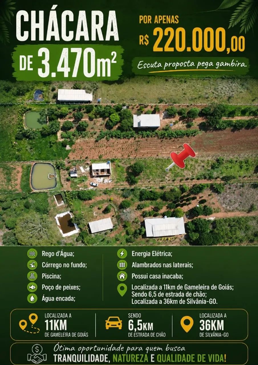 Foto - Gameleira de Goiás - 
