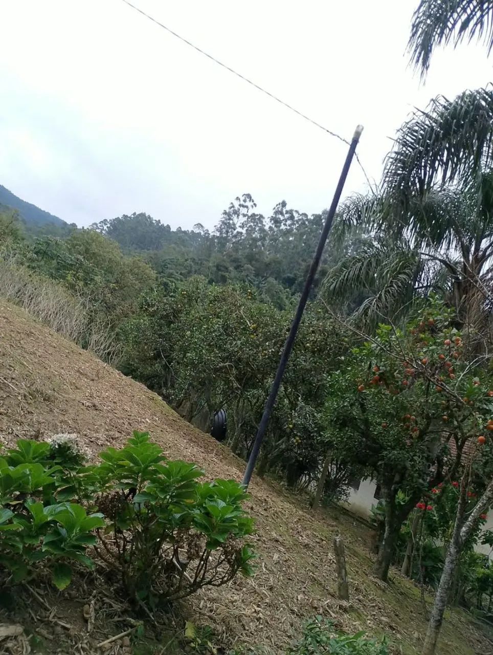Sítio em presidente Nereu SC  - Foto 3