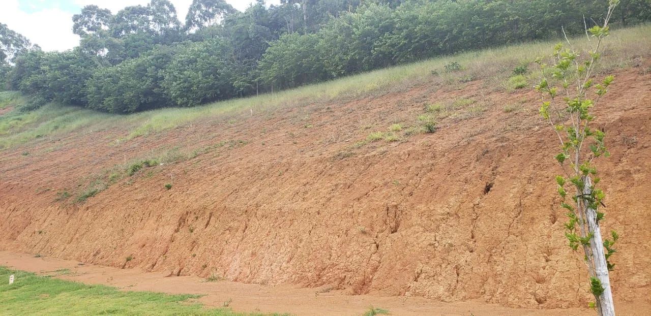 Lote / Terreno - Marilândia