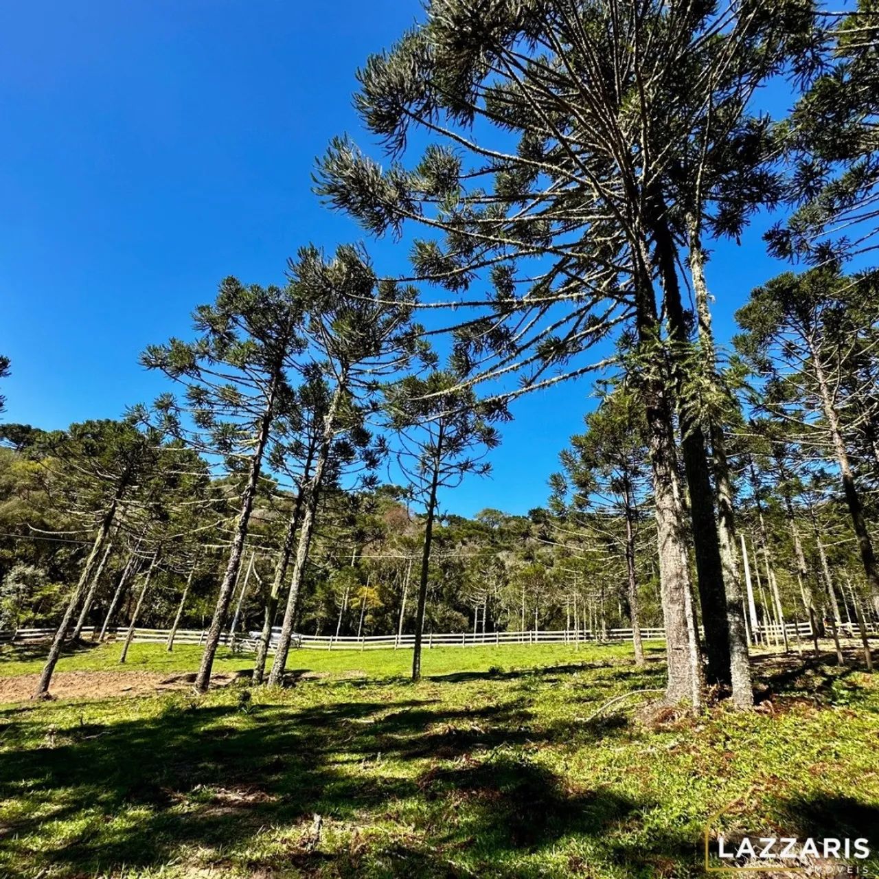 Urubici, chácara com Lago - Foto 4