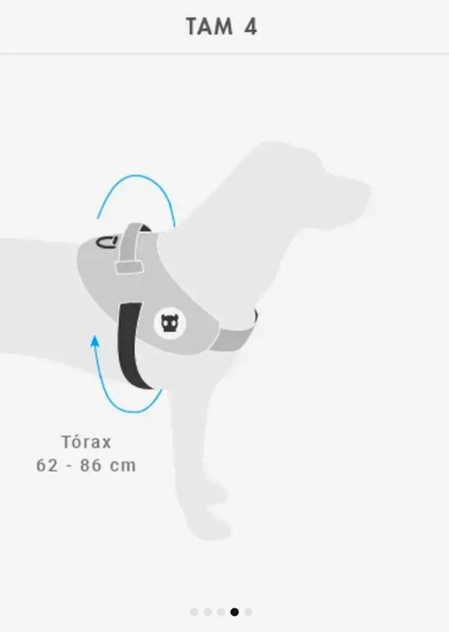 Peitoral para Cachorros Zeedog FlyHarness Urban - TAMANHO 4 (USADA UMA ÚNICA VEZ) - Foto 5