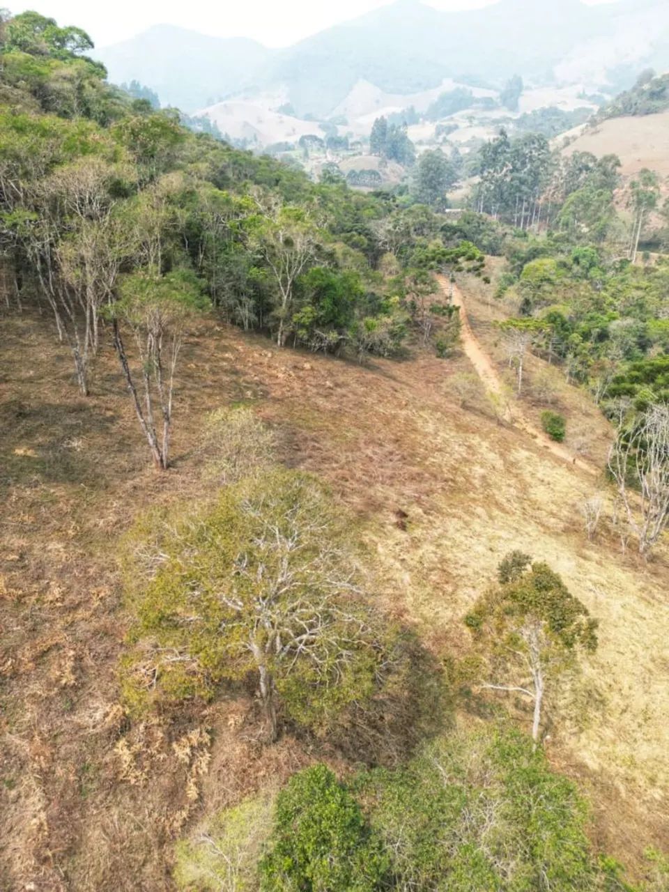 Terreno, 4 alqueires. - Foto 2