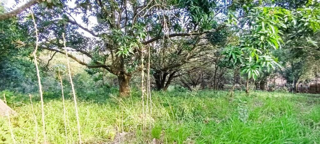 Terreno à venda em Valinhos, Chácaras São Bento, com 2000 m² - Foto 4