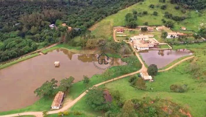 Fazenda com 280,72 hectares à venda em Amparo. - Foto 2