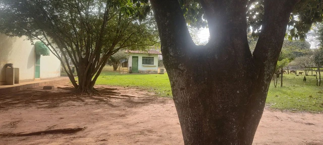  CHÁCARA  - Foto 3