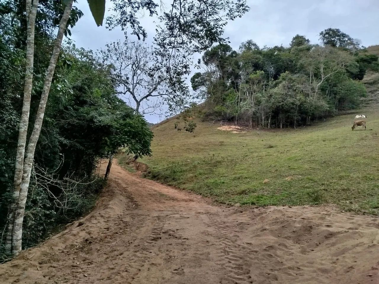 Domingos Martins/Rota Imperial! - Foto 2
