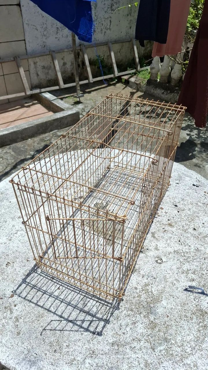 Gaiola pequena - Foto 2