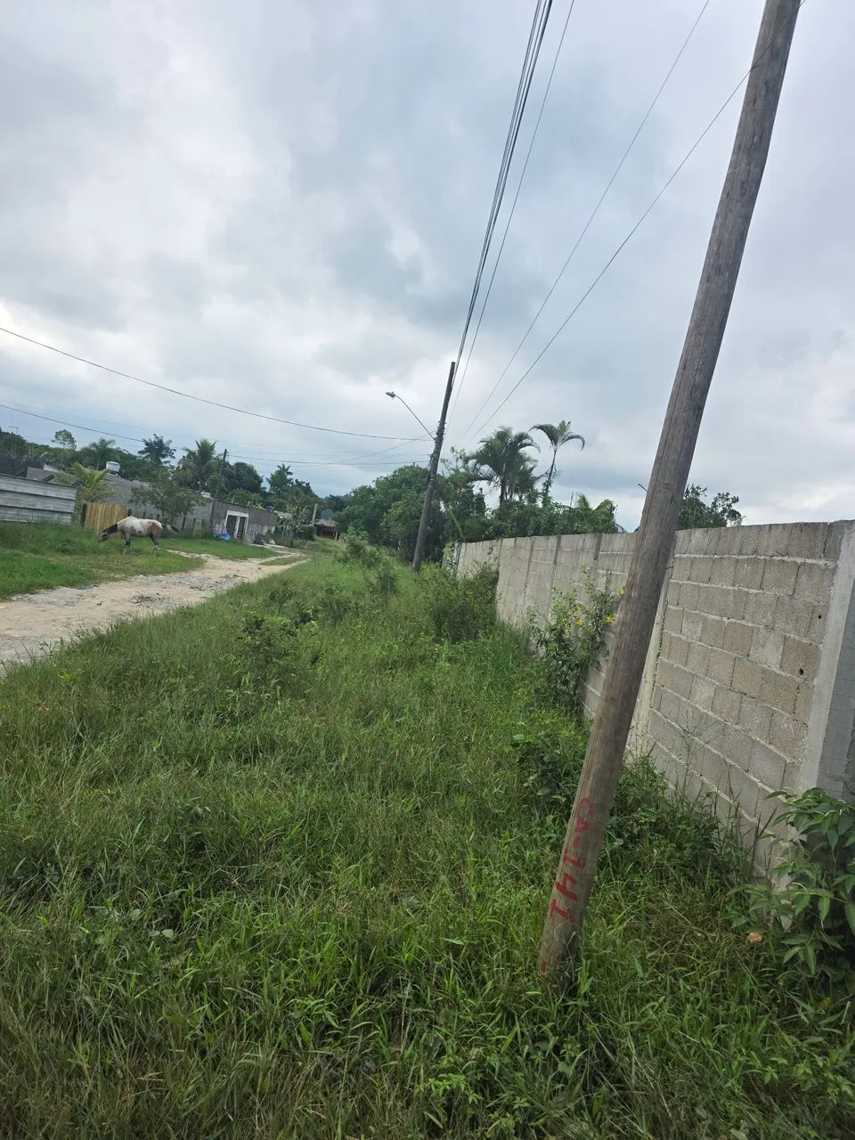 Terreno 1500 metros em Itanhaém - Foto 4