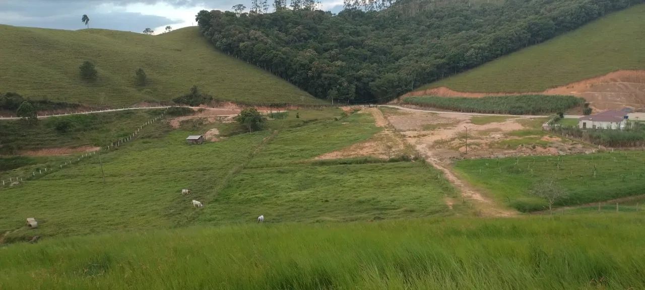 Área com 14.000m² em Alto Biguaçu - Foto 2