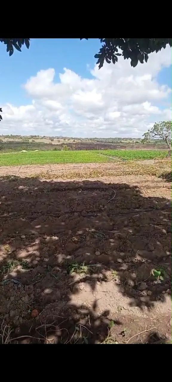 Terreno sítio barragem  - Foto 5
