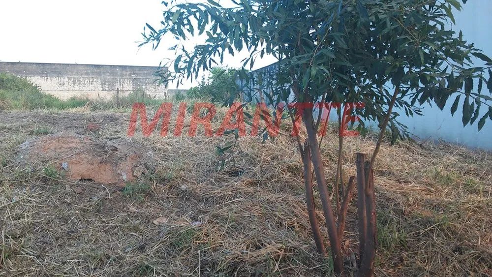 Terreno em Vila Rosaria - Foto 5