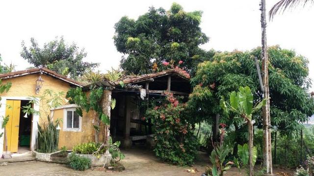 Propriedade de 4.9 hectares, em Vitória de Santo Antão-PE, com casa sede.Aceitam-se trocas - Foto 4